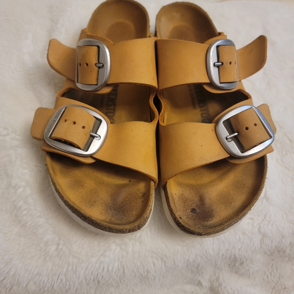 Arizona Birks